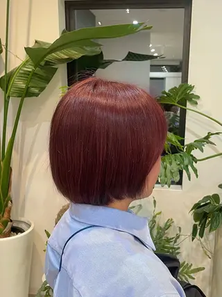カラー miyuki ㅤのヘアスタイル