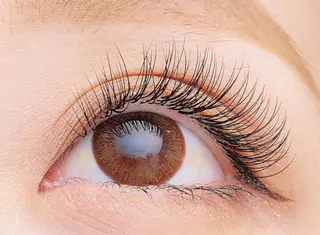 マツエク・マツパ FOXY LASH 仲嶋のマツエク・マツパデザイン