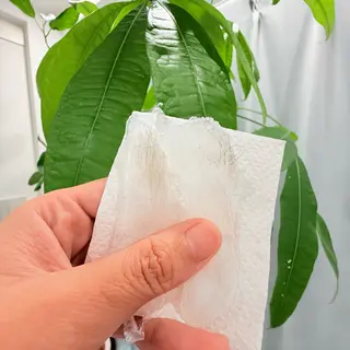 saiun 和花恵のその他イメージ