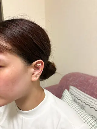 nuvi .のその他イメージ