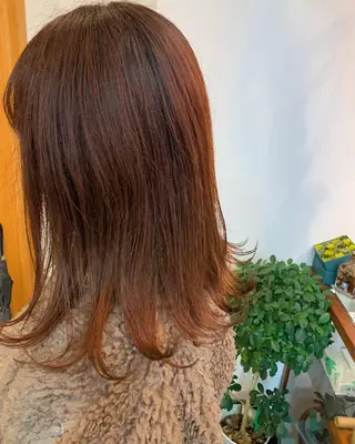 セミロング 名駅🦢大人艶カラー 🪽カミヤアカネのヘアスタイル