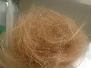 ロング 熊倉 加奈子のヘアスタイル
