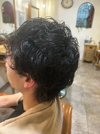 ショート パーマ メンズ 武重 大雅のヘアスタイル