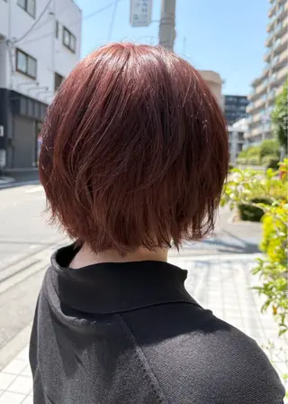 ショート カラー 鴫原 亜弥のヘアスタイル