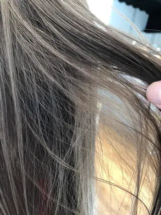 カラー 堀田 将輝のヘアスタイル