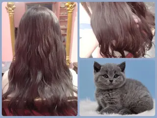 セミロング ロング カラー 櫻井 愛弓のヘアスタイル