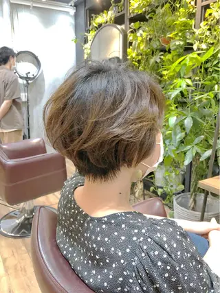 ショート 増山 大起のヘアスタイル