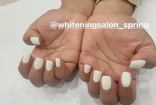 ネイル ネイリスト Nのネイルデザイン
