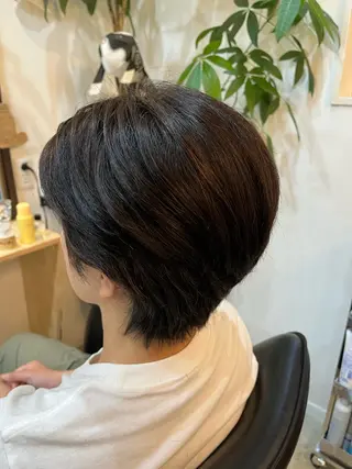 ショート 山口 晃也のヘアスタイル