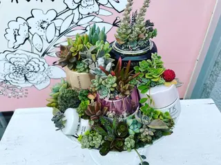 大森 りえのエステ・リラクイメージ