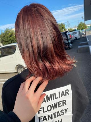 セミロング カラー 横地 凌のヘアスタイル