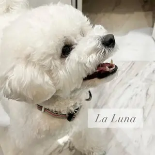 LaLuna🌙 Natsukiのネイルデザイン