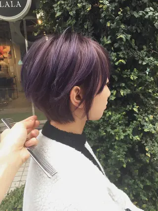 ショート カラー ハイトーン/レイヤー /ウルフ⭐️永田⭐️のヘアスタイル