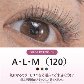 マツエク・マツパ ディアナ ひたちなか高場店仲田のマツエク・マツパデザイン