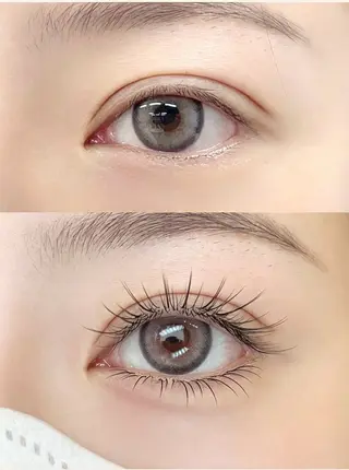 マツエク・マツパ VELISSE EYELASHのマツエク・マツパデザイン