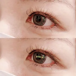 マツエク・マツパ EYELA 渡部のマツエク・マツパデザイン