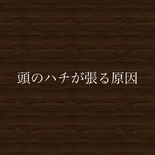 Plumeria (プルメリア)川口のエステ・リラクイメージ