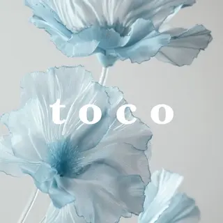 マツエク・マツパ toco harukaのマツエク・マツパデザイン