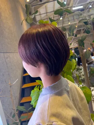 ショート 柔め透明感血色カラー 暖色/レイヤー/ゆいのヘアスタイル