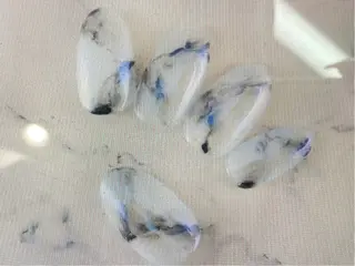 ネイル 高 橋のネイルデザイン