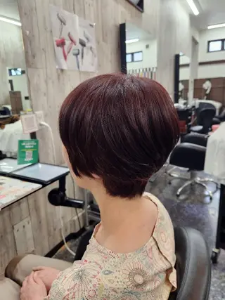 ショート カラー 岩瀬 未来のヘアスタイル