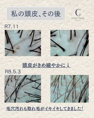 carpe Maraisのヘアスタイル
