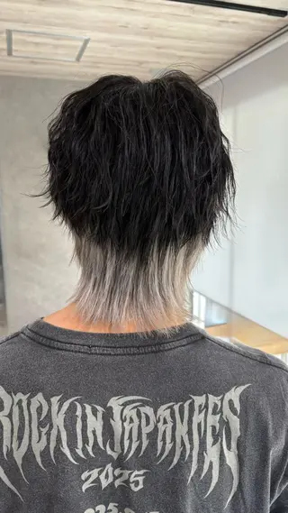 カラー がわ/ハイレイヤー /ハイトーンカラーのヘアスタイル