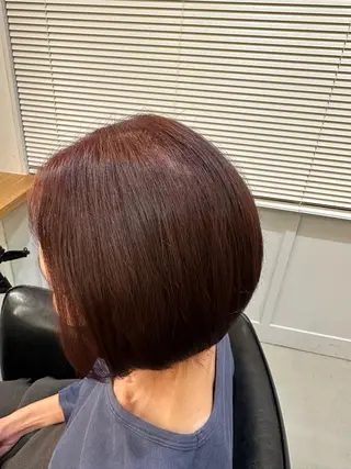 ショート 加藤 利奈のヘアスタイル