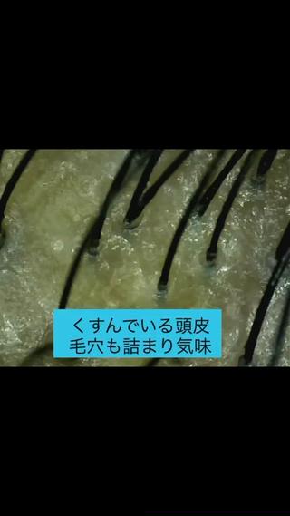 ✨デトックス職人✨ To-Hiらぼのヘアスタイル