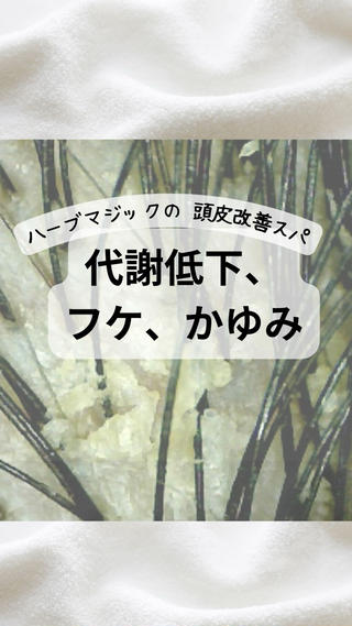 ✨デトックス職人✨ To-Hiらぼのヘアスタイル