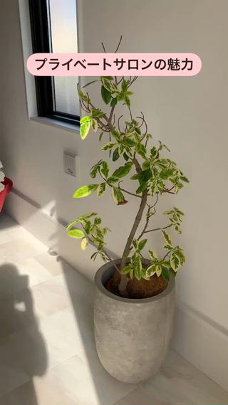 大きなサロンとの違いをピックアップしました
大きなサロンにも良いところがたくさんありますが
プライベートサロンの最大の魅力はやっぱり
【自分だけの時間】を誰にも邪魔されず
過ごして頂ける事だと思います
日々頑張ってる自分へのご褒美も兼ねて..
心からゆっくりおくつろぎ頂き
内からも外からも綺麗になって下さいね