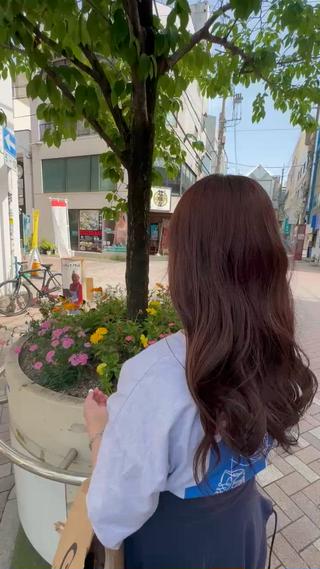 ⌇﻿ 𝐩𝐞𝐚𝐜𝐡 𝐛𝐫𝐨𝐰𝐧 