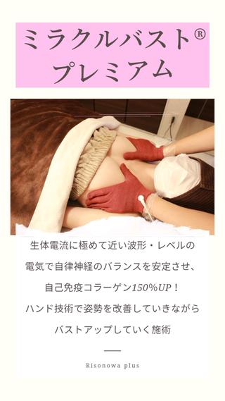 バストアップだけじゃない自律神経のバランスを安定させながら体の不調を整えていく『ミラクルバストプレミアム』
健康にバストアップするなら絶対これ 