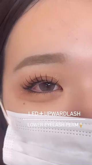 LED＋UPwardlash160本、CC12/13/12
Color:All Dark brown

lower eyelash perm

アップワードラッシュは、
お薬を使わずに、自まつげを上げてからエクステをつけていきます⟡.·

その為、お目元に光が入り、パッチリさせることが出来ます！

下パーマもする事で、
・中顔面短縮効果
・デカ目効果
・上下の絡まり、逆さまつ毛改善
etc.....

の効果があります 