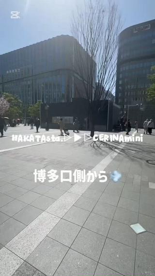 マツエク・マツパ CERINAmini MAI【博多駅近】のマツエク・マツパデザイン