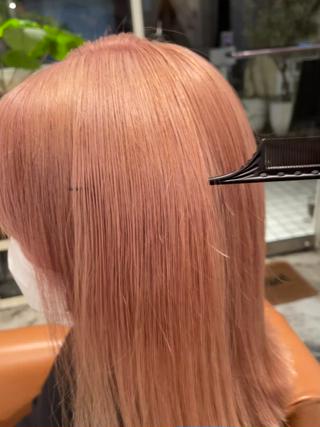 1ブリーチ(元々ブリーチ履歴あり)
ピンクベージュ 