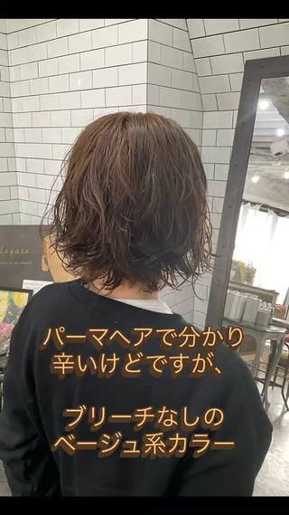 「ブリーチはしたくない、でも重たく見えるのは嫌…」
そんな大人女子のわがままを叶えるメニュー

30代になってから、
︎ 髪のパサつきが気になり始めた
︎ ダメージが怖くて明るくできない


ブリーチを使わずにベースのトーンをじっくり育てる【ブリーチなしダブルカラー】
これが、大人の品を保つ秘訣です

「今の髪色からどこまで明るくできる？」
「私の髪質でも大丈夫？」
気になれば、メッセージでお気軽にご相談ください


#ブリーチなし #ブリーチなしカラー #透明感カラー #30代ヘアスタイル #髪質改善カラー #髪質改善パーマ #大人女子ヘア #痛ませないカラー  