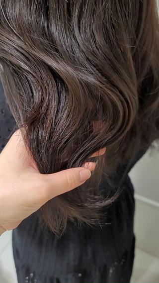 オリーブブラウン 