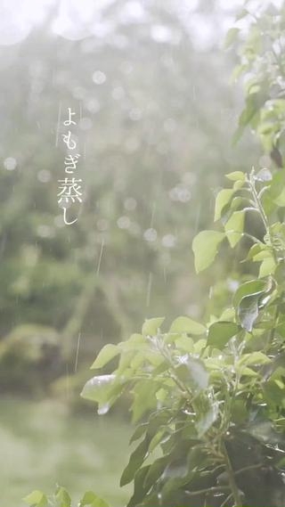 ハーブテントよもぎ蒸aroma&wood〜アロマウッド〜所属・よもぎ蒸＆オイルケア aroma＆woodのエステ・リラクイメージ