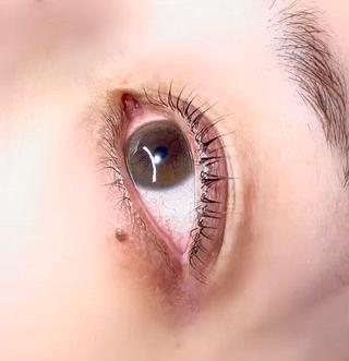 design▷立ち上げカール.