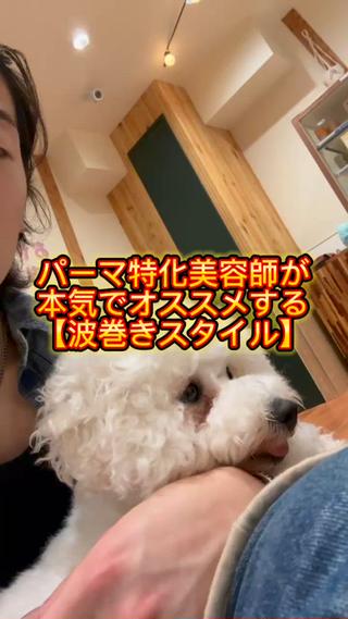 パーマ 🔥メンズカット＋ パーマの達人🔥のヘアスタイル