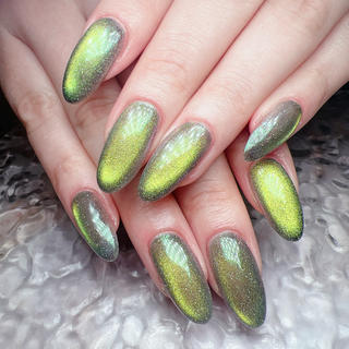 ネイル マグ🧲等なんでも ワンカラー5700円のネイルデザイン