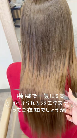 ロング エクステ＆カラー専門 羽エクステ　新大久保のヘアスタイル