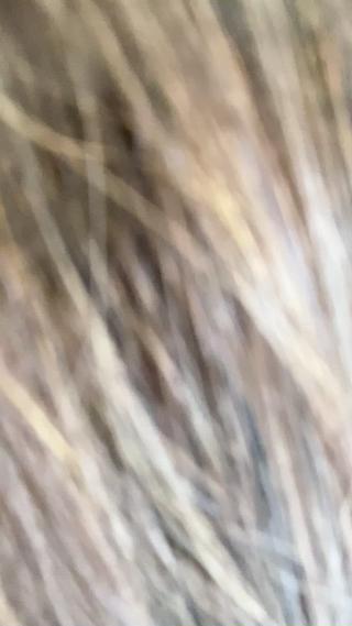 ロング カラー 白髪世代の悩み解決 阿部耕大のヘアスタイル