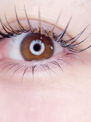 マツエク・マツパ crown KIYOMIのマツエク・マツパデザイン