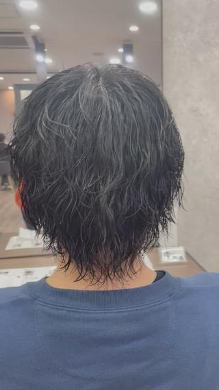 波巻きウルフ2ヶ月後
メンテナンスカット 