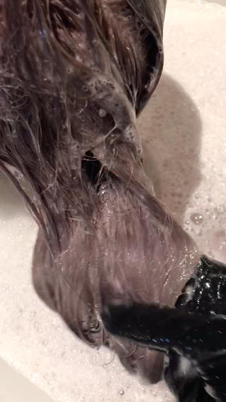 パールシルバー 