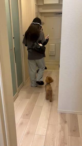 ご新規様ご来店ありがとうございました 