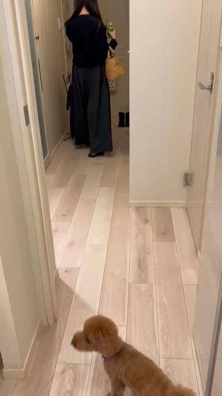 いつもご来店ありがとうございます 