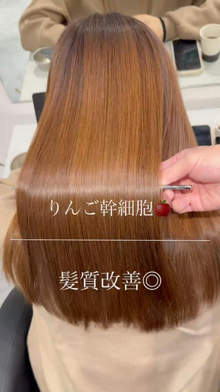 セミロング 髪質改善カラー🪞 美髪縮毛矯正🪞城のヘアスタイル
